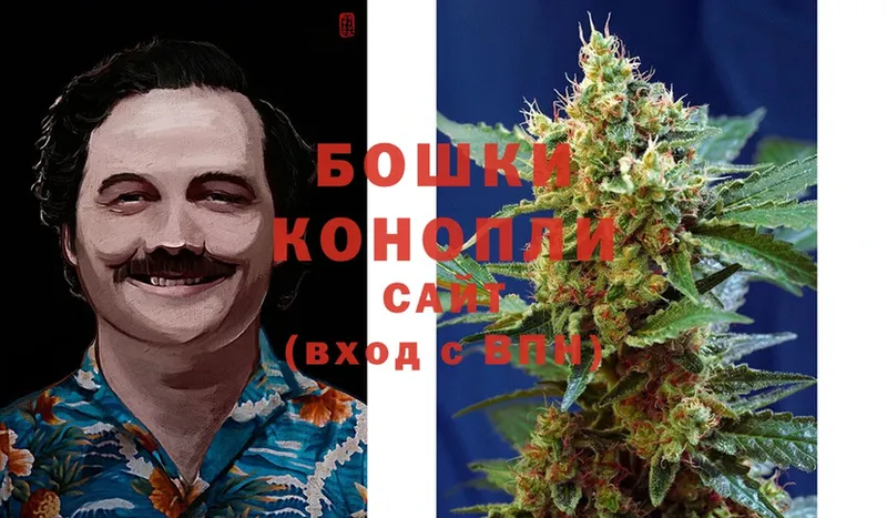 Конопля Bruce Banner  Красавино 